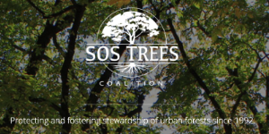 February Meeting Notes